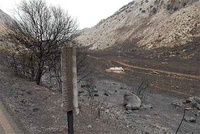 Zona afectada por las llamas del incendio registrado en la Sierra de Cádiz.