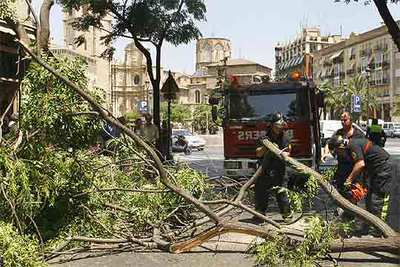 Un camión derriba un árbol en Valencia