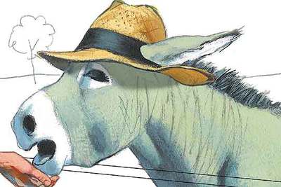 Un burro en la familia