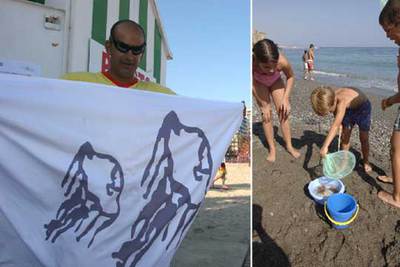 A la izquierda, un socorrista en Benidorm con una bandera de alerta de medusas. Niños jugando ayer con ejemplares de la plaga capturados en una playa de Almuñécar (Granada). rn ROSA FUSTER