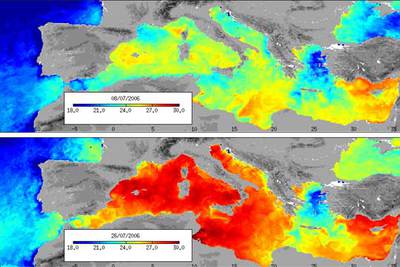 Mapa de temperaturas en el Mediterráneo del 8 de julio (arriba) y del 26 de julio (abajo).