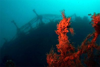 El  Sirio  hundido, en una imagen del documental de Roque Madrid.