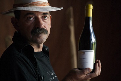 EL ARTE DE HACER BUEN VINO