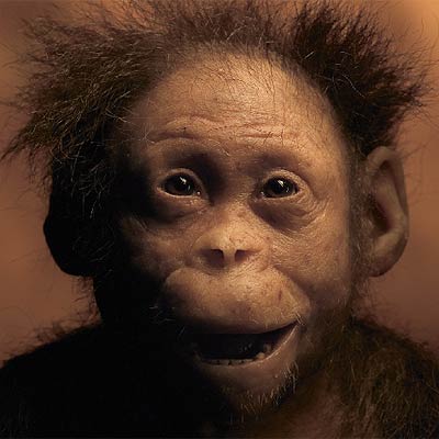 Reconstrucción de Selam aparecida en la revista   National Geographic.  