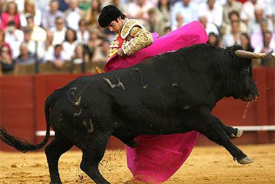 Sebastián Castella, en su primer toro