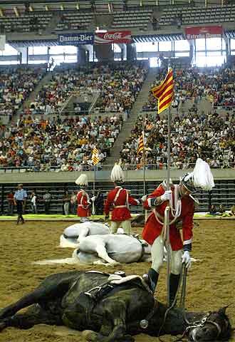 150 años de caballos 'urbanos'