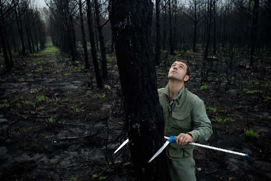Carlos Pérez, agente forestal, en los montes de Xaviña, en el 'concello' de mediciones de la madera quemada.