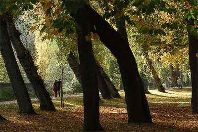El paseo de la Alameda, junto al río Eresma, conduce hasta el monasterio jerónimo de Nuestra Señora del Parral.
