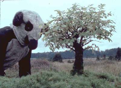  The right way ( 1983), una de las obras de vídeo de Fischli&Weiss expuestas en la Tate Modern.