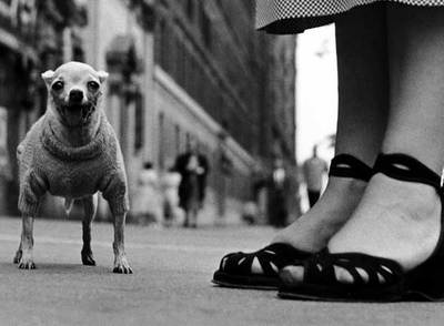  Ciudad de Nueva York, Estados Unidos  (1946), de Elliott Erwitt.