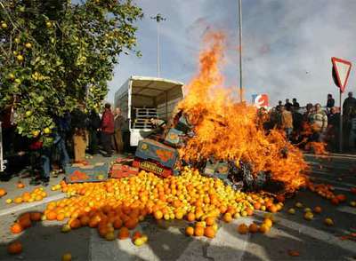 Protesta en Orihuela y negociación en Valencia por el conflicto citrícola