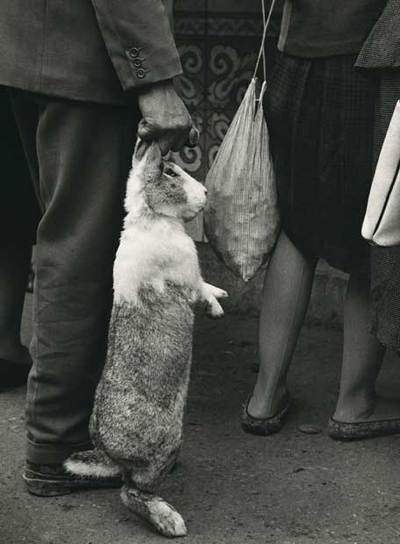 'La víctima', de Miguel de Miguel.