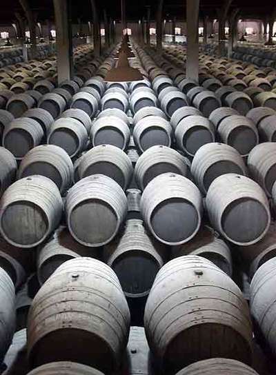 Bodega del grupo Estévez.