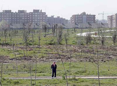 Queda inaugurada una séptima parte del gran bosque del Sur