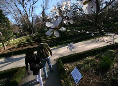 Fundado por Carlos III, el Real Jardín Botánico de Madrid se inauguró en 1781 en su actual emplazamiento, entre el paseo del Prado y el parque del Retiro.