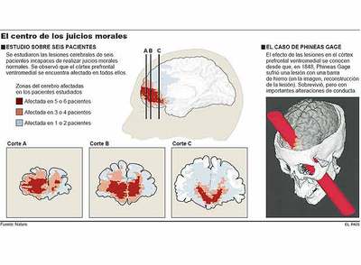 Los científicos muestran que el juicio moral depende de las emociones