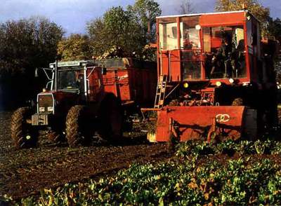 Una cosechadora y un tractor en las tareas de recolección de remolachas.