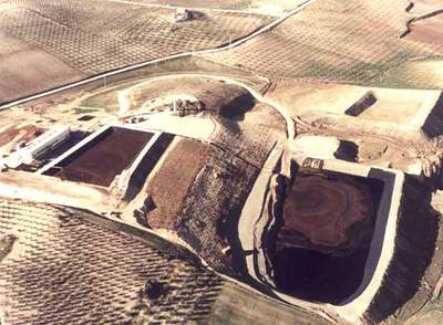 Biomasa pura de oliva