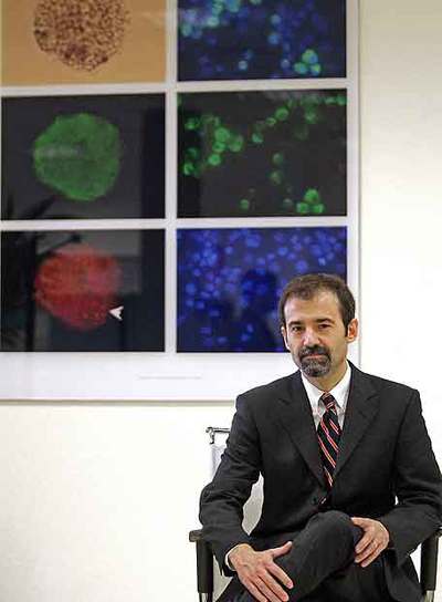 El investigador José Cibelli.