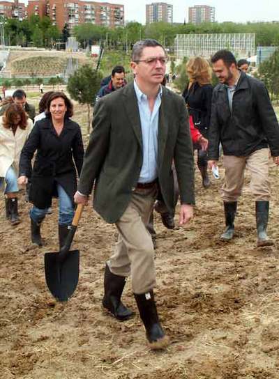 El alcalde, Alberto Ruiz-Gallardón, pala en mano, se dirige a plantar.