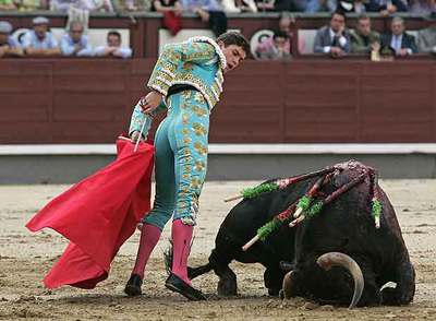 El novillo besa el suelo durante la faena de Alberto Revesado ayer en Las Ventas.