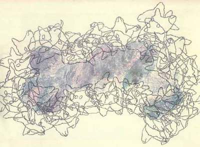 'Tabula Terrae' (2004), de Jana Kasalová.