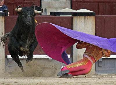 José María Lázaro recibe  a porta gayola  a su segundo novillo, al que cortó una oreja.