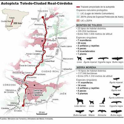 Medio Ambiente veta una autopista de Toledo a Córdoba para salvar al lince
