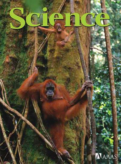Un orangután en la portada de  Science .