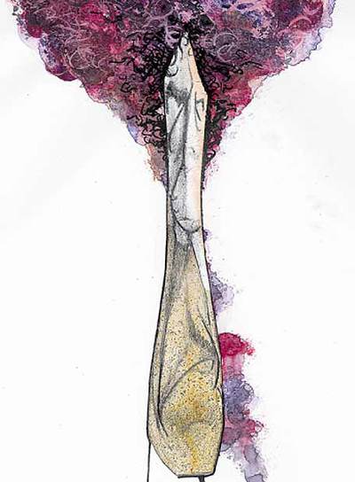 El señor de las canciones