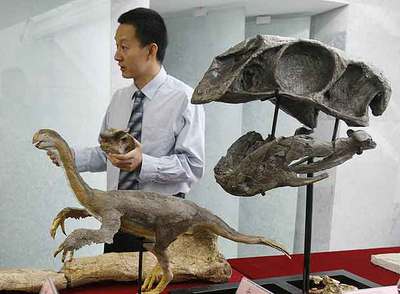 El paleontólogo Xu Xing, con un modelo del  Gigantoraptor  y de su cráneo, ayer en Pekín.