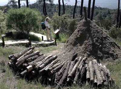 Reconstrucción de una carbonera en el arboreto Luis Ceballos de San Lorenzo de El Escorial.