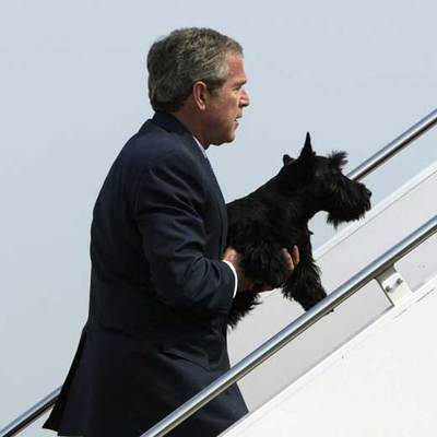 El presidente estadounidense George Bush, con su perro 'Barney'.