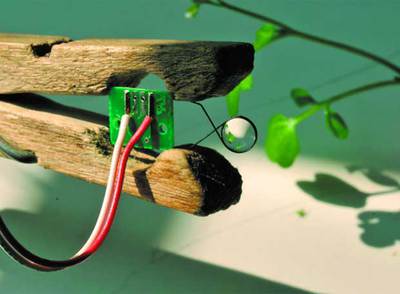  El lente de agua  de Rubén Ramos.