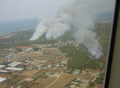 Imagen cedida por Medio Ambiente del incendio registrado el pasado año en Conil (Cádiz), donde fue necesaria la evacuación.