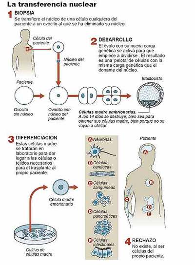 Arranca la ley más paradójica