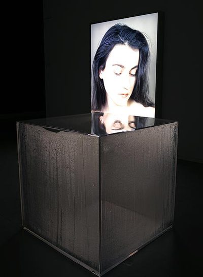 'Mood piece (AD II)' (2006), de Joe Scanlan.