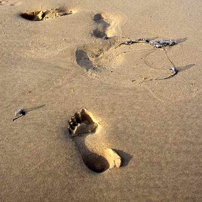 PICAN HASTA MUERTAS.