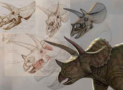  Collage  del ilustrador científico Mauricio Antón.