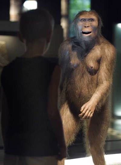 Reproduccción de  Lucy,  homínido de la especie  Australopithecus afarensis  exhibida en el Museo de la Ciencia de la Fundación La Caixa, en Barcelona.