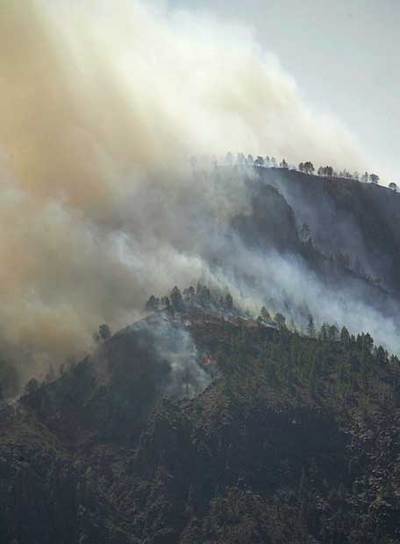 El fuego alcanzó ayer el barranco de Santa Lucía, al suroeste de la isla.
