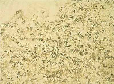 Imagen de  Vegetación salvaje,  descubierta debajo de  Barranco. 