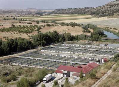 Vista de la piscifactoría en la que murieron cuatro personas dentro de una fosa séptica.