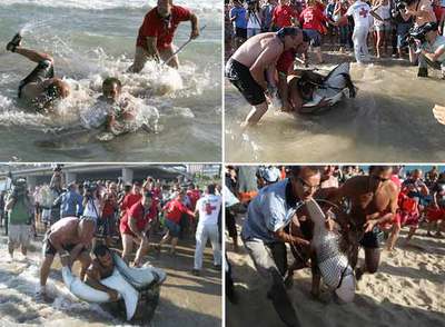Personal del Acuario captura el tiburón de Tarragona