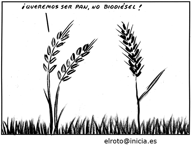 EL ROTO