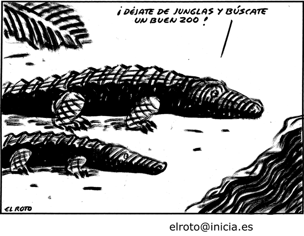 EL ROTO