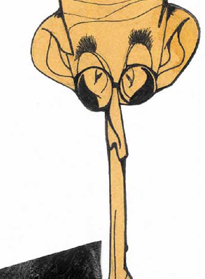 A la caza de la presidenta