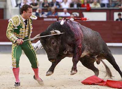 El diestro Rafael Rubio,  Rafaelillo,  es desarmado por su segundo toro, ayer en Las Ventas.