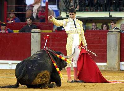 Jesulín contempla la muerte de  Estafador,  el último toro que lidió ayer en Zaragoza.