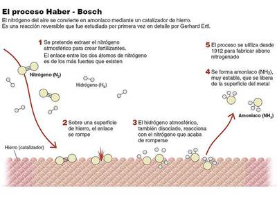 Los procesos catalíticos vistos con detalle atómico
